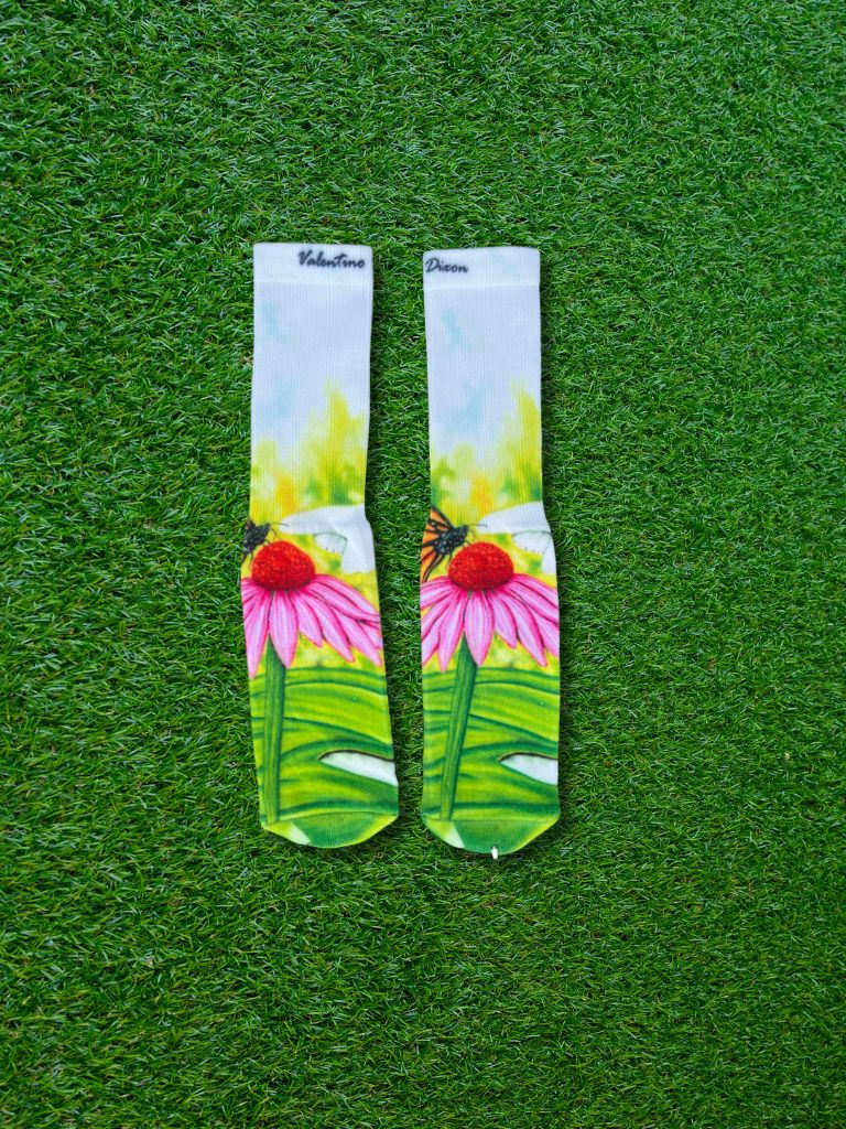 Butterfly Kissed Socks